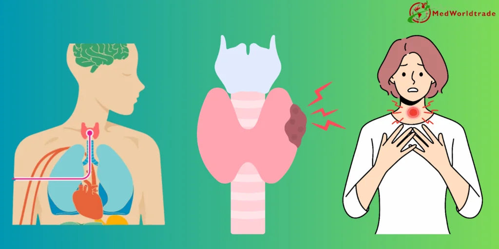 What-Is-The-Relationship-Between-Hypothyroidism-Sleep-Apnea