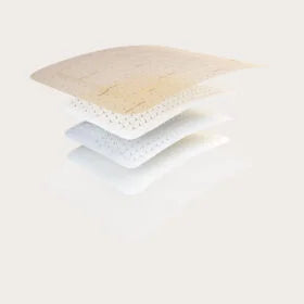 Molnlycke Mepilex Border Flex